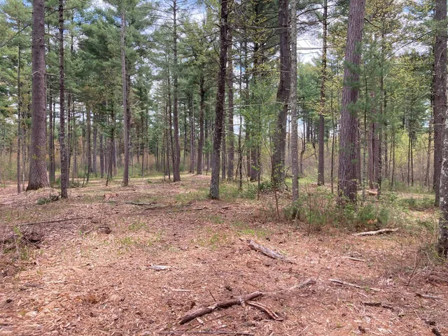 $66,930 | Lot 2 Surely Drive, Siren, WI 54872