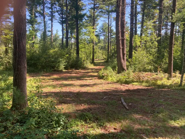 $66,930 | Lot 2 Surely Drive, Siren, WI 54872