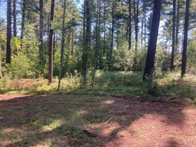 $66,930 | Lot 2 Surely Drive, Siren, WI 54872