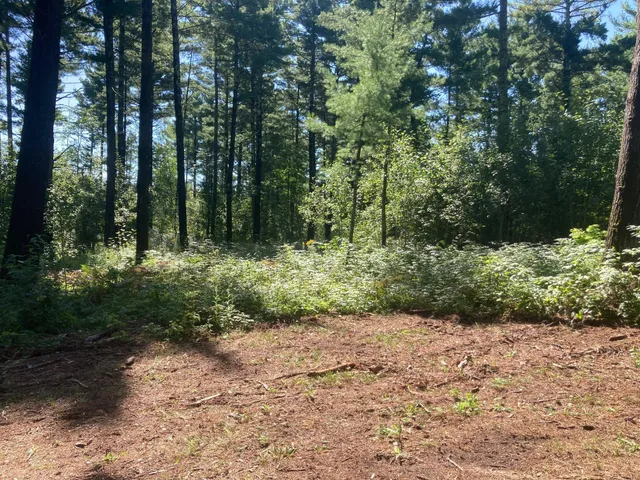 $66,930 | Lot 2 Surely Drive, Siren, WI 54872