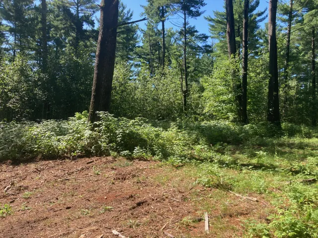 $66,930 | Lot 2 Surely Drive, Siren, WI 54872