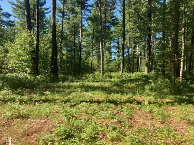 $66,930 | Lot 2 Surely Drive, Siren, WI 54872