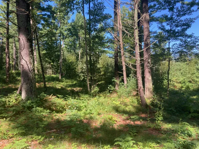 $66,930 | Lot 2 Surely Drive, Siren, WI 54872