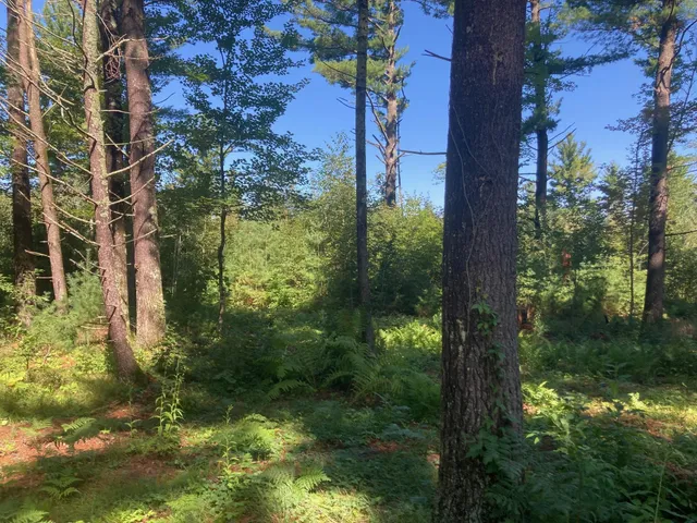 $66,930 | Lot 2 Surely Drive, Siren, WI 54872