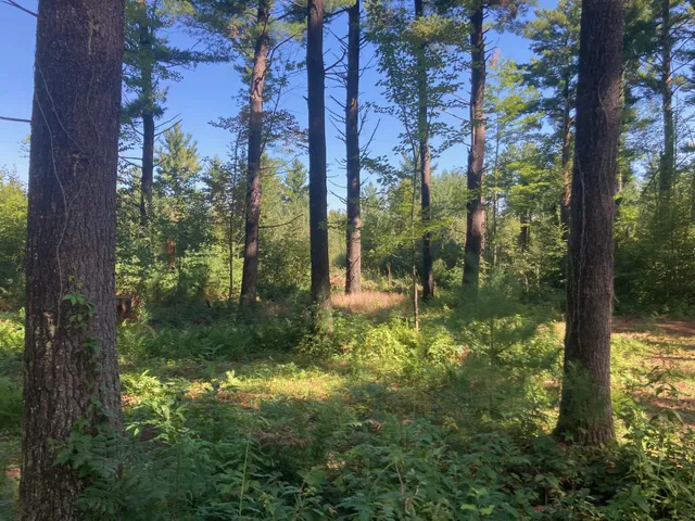 $66,930 | Lot 2 Surely Drive, Siren, WI 54872