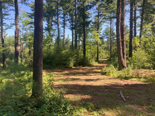 $66,930 | Lot 2 Surely Drive, Siren, WI 54872