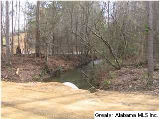 720 Sportsman Lake Road, Unit 4 2 AC Springville, AL 35146 - Photo 1 of 14