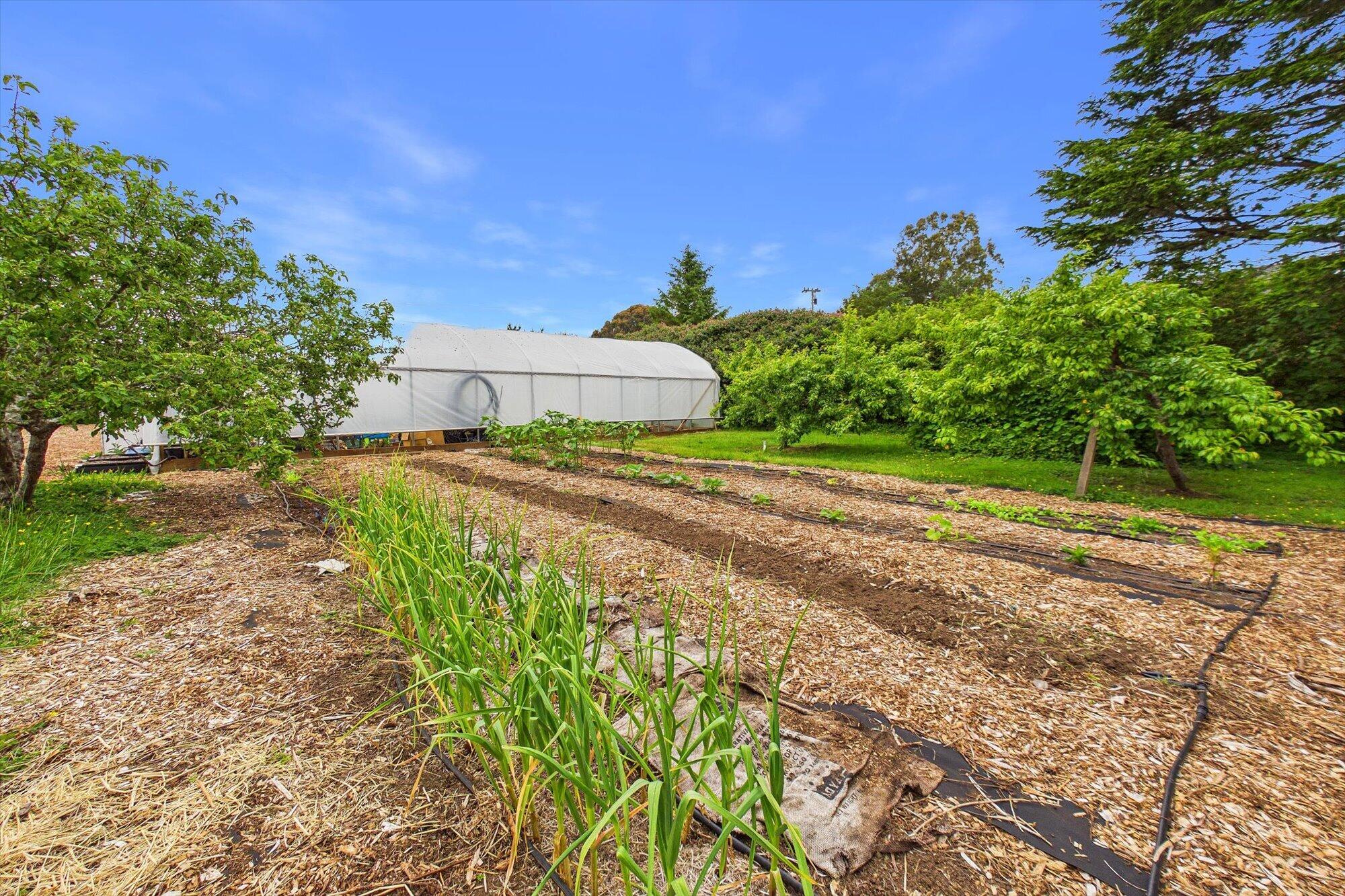 1300 Clam Beach Road McKinleyville, CA 95519 - Photo 89 of 116