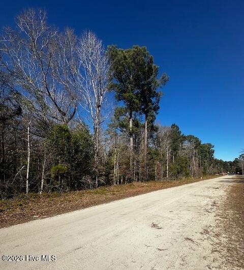 289 Tuliptree Road Southwest Shallotte, NC 28470 - Photo 1 of 2 00