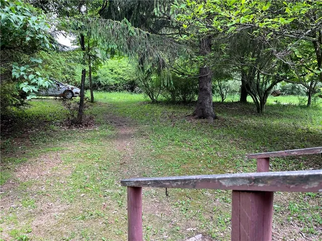 a view of a backyard with a trees