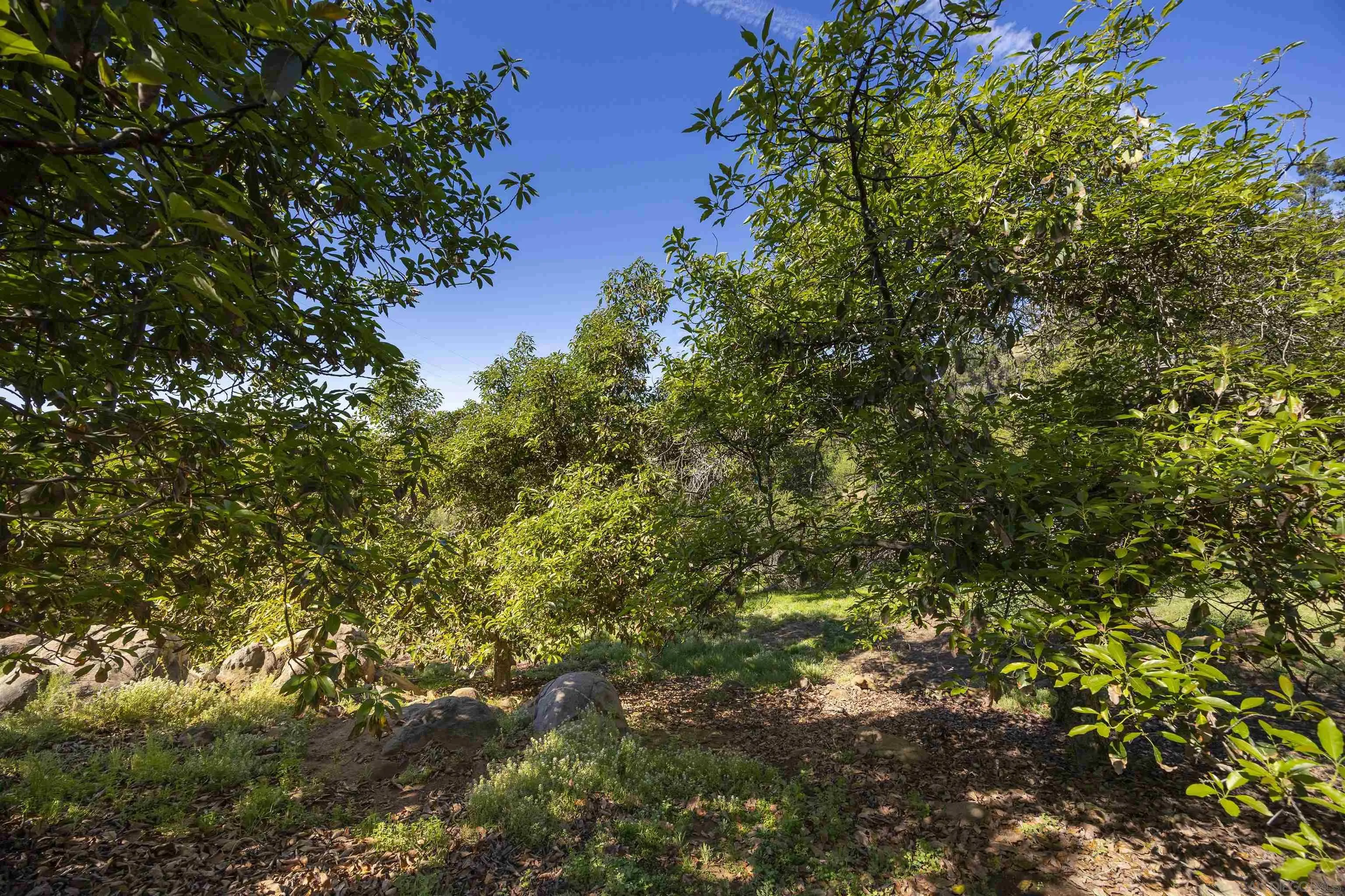 1820 Grove Road El Cajon, CA 92020 - Photo 46 of 74