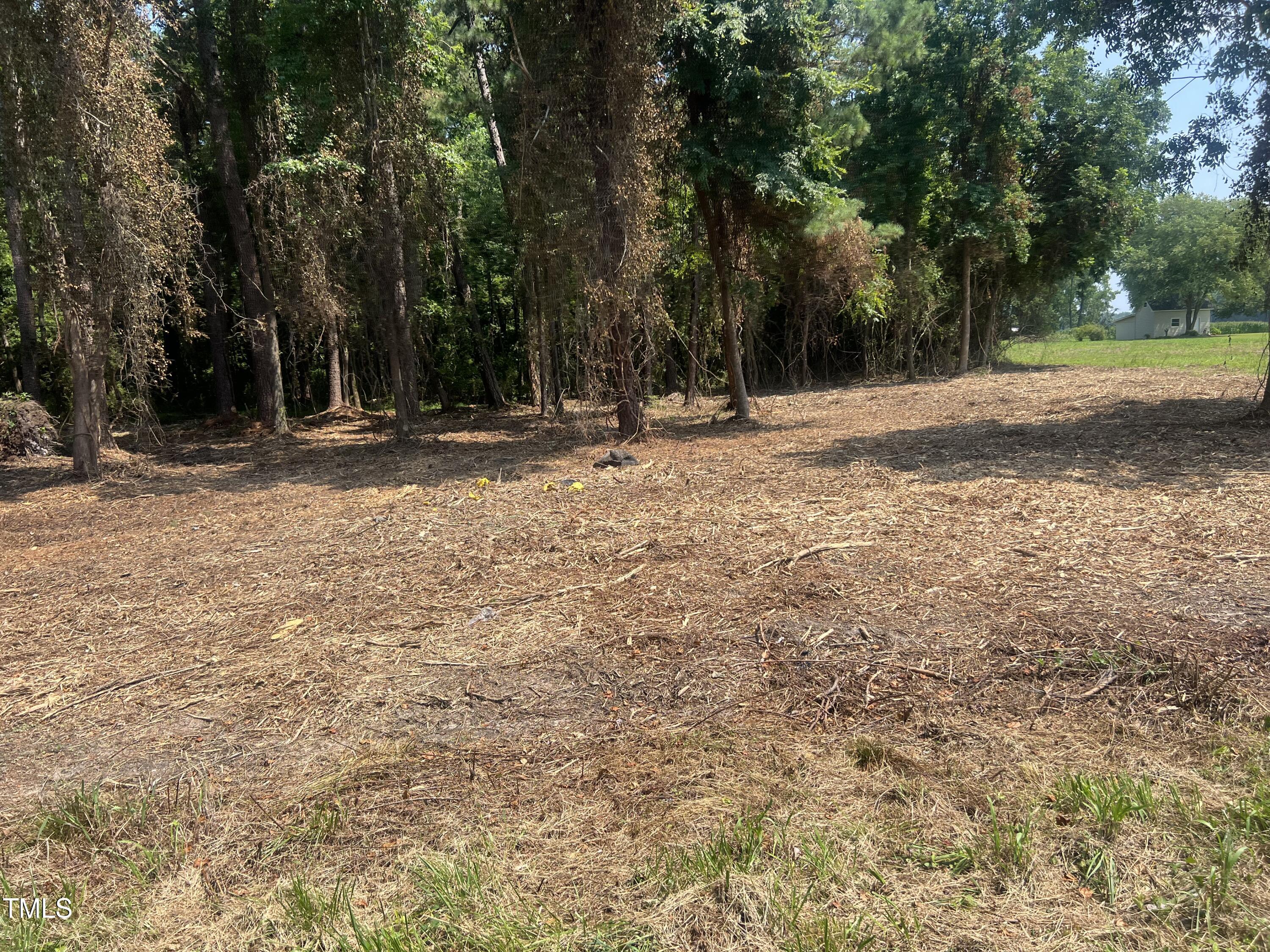621 Partin Road Dunn, NC 28334 - Photo 4 of 7 a view of outdoor space with trees