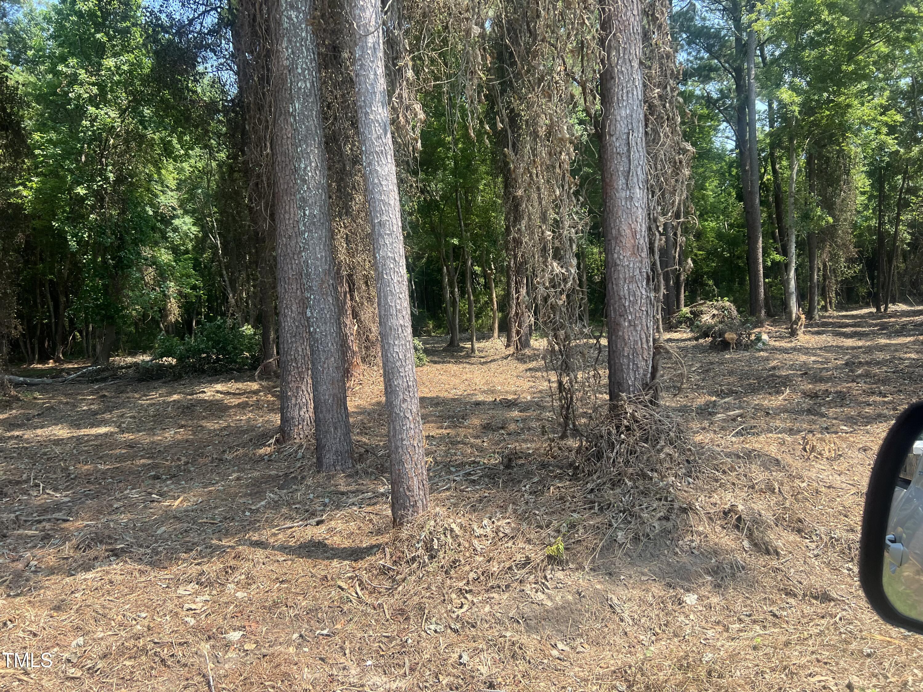 621 Partin Road Dunn, NC 28334 - Photo 5 of 7 a view of a yard with trees