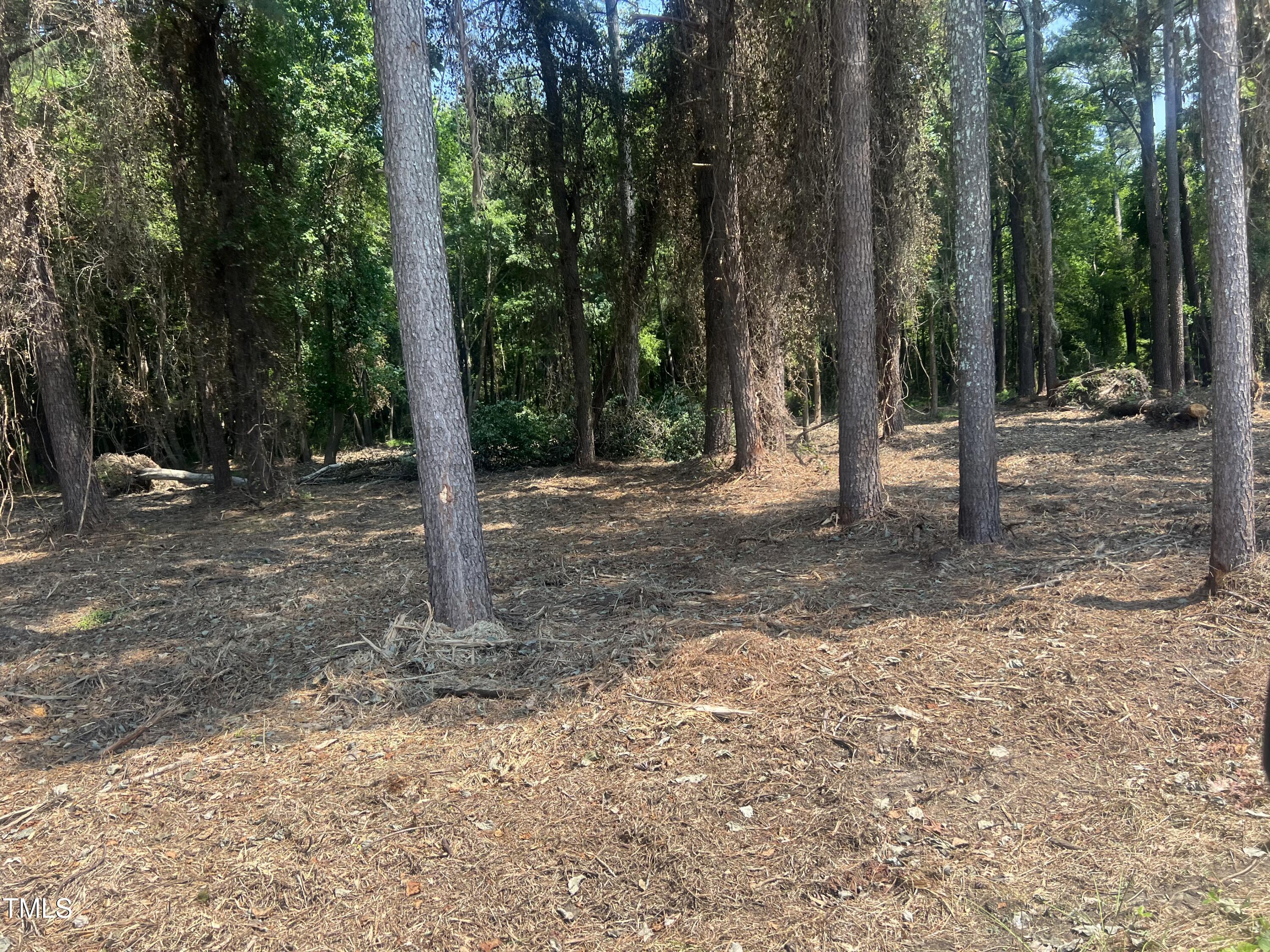 621 Partin Road Dunn, NC 28334 - Photo 6 of 7 a backyard of a house with lots of green space