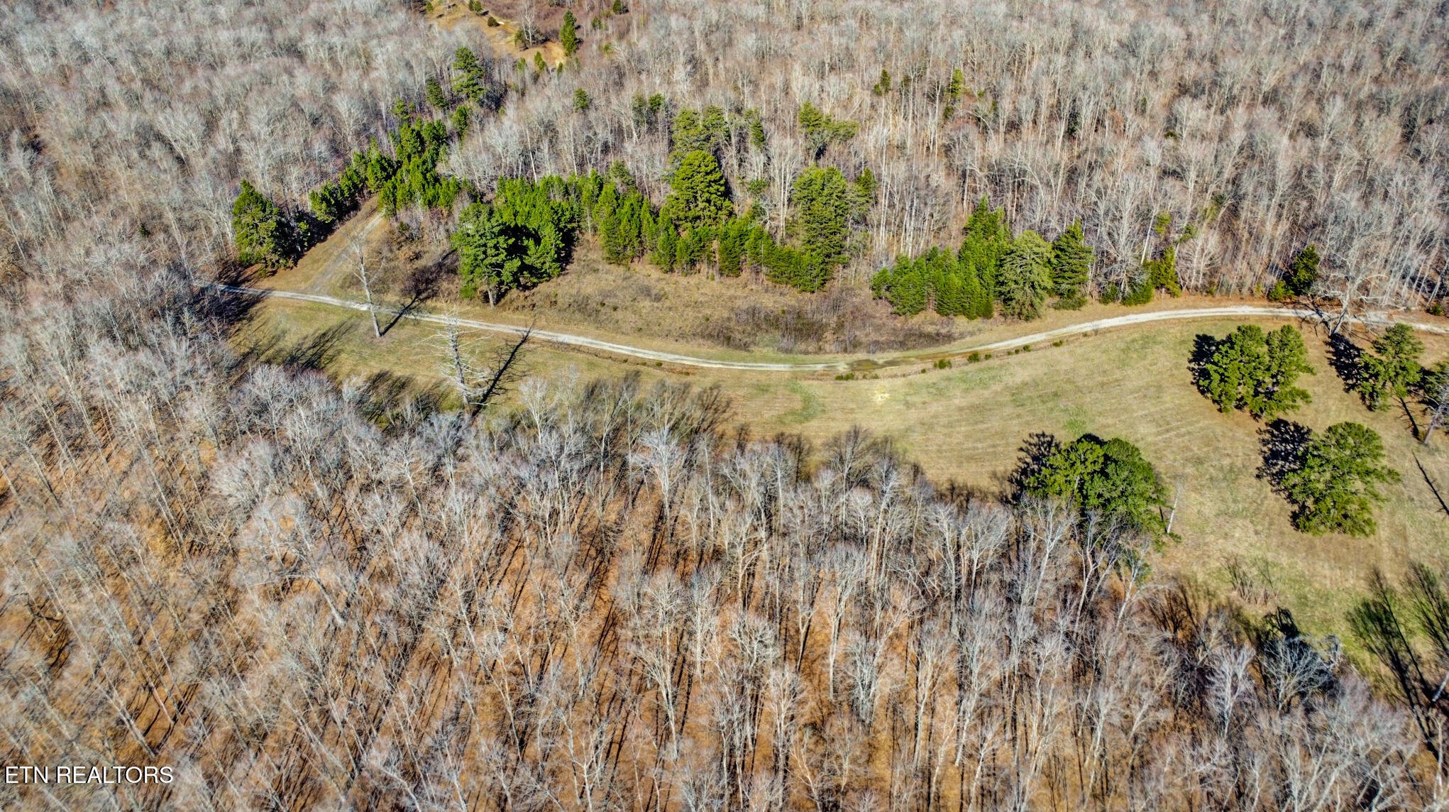 5031 Robbinstown Road Byrdstown, TN 38549 - Photo 16 of 60 Gallery Image 16