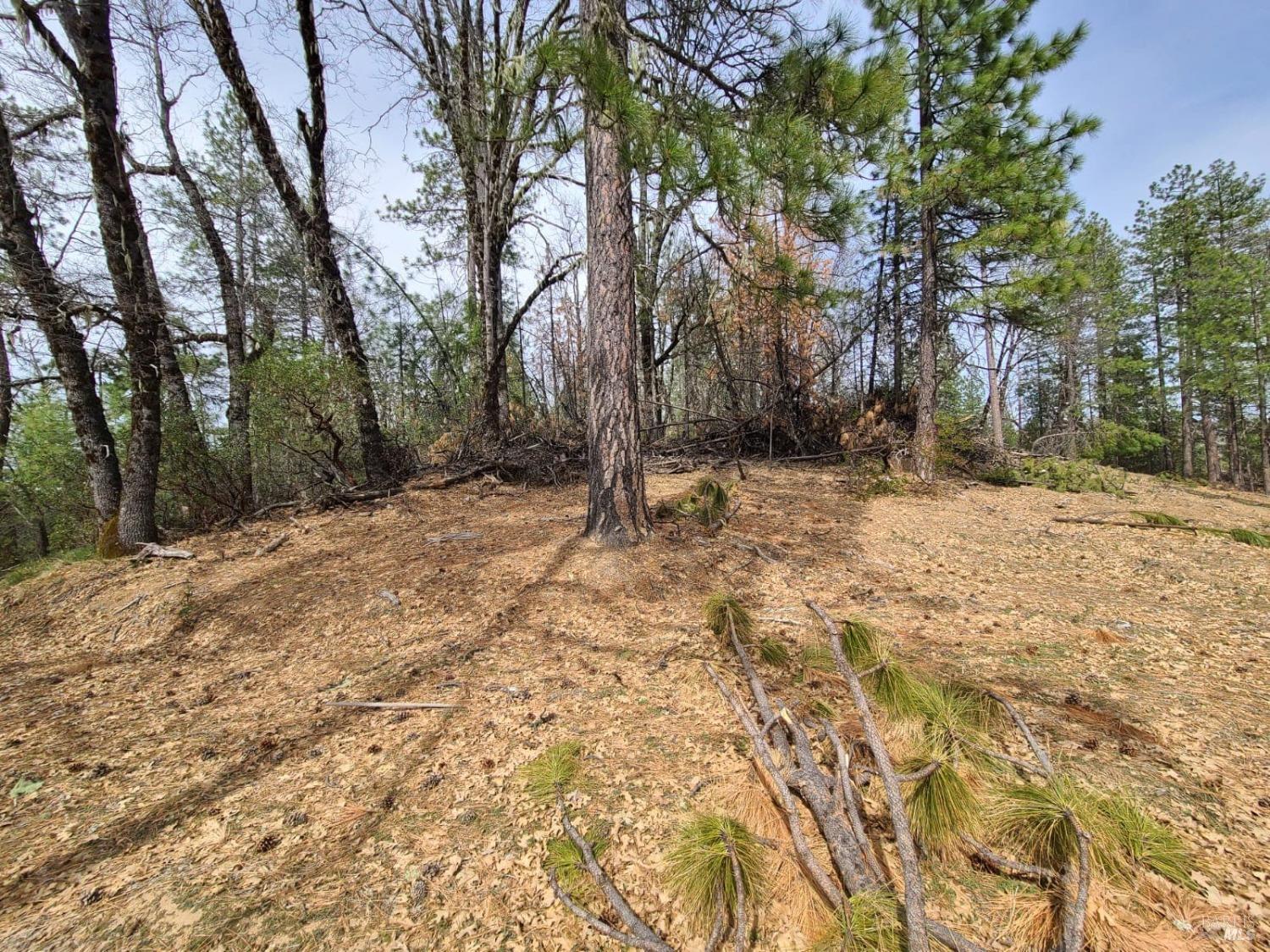 47700 Bentley Ridge Road Covelo, CA 95428 - Photo 43 of 74