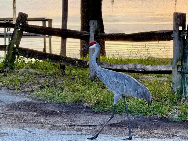 $187,500 | 14010 Northeast 250th Circle, Salt Springs, FL 32134