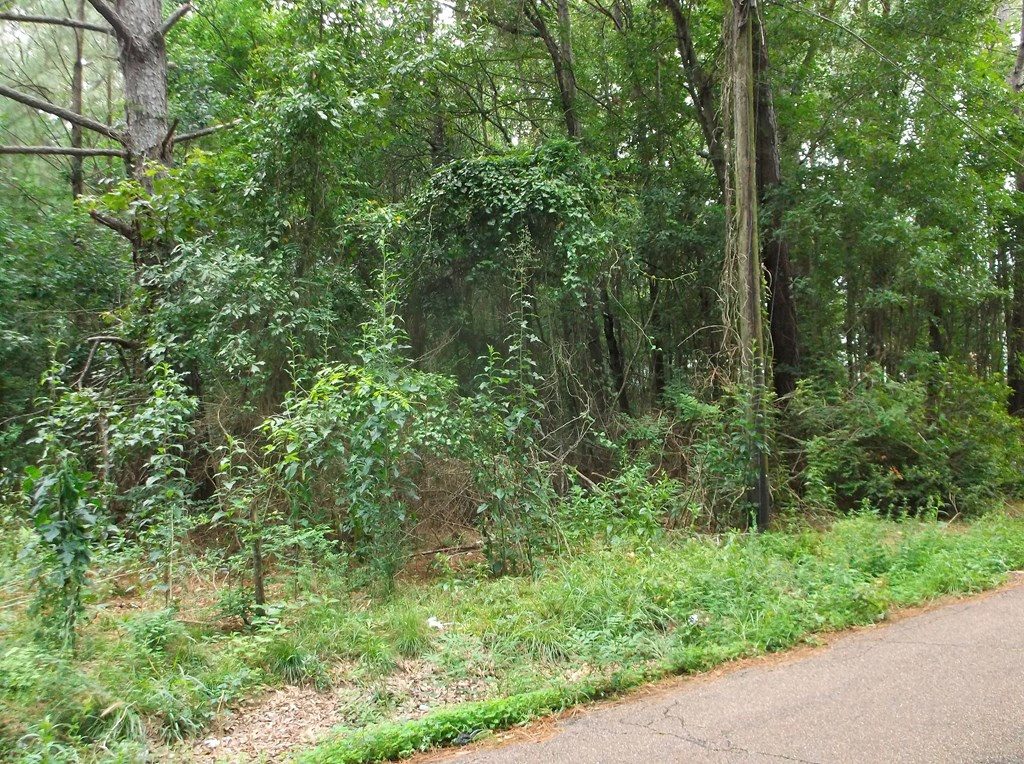 534 11th Street McComb, MS 39648 - Photo 2 of 3 Photo 2