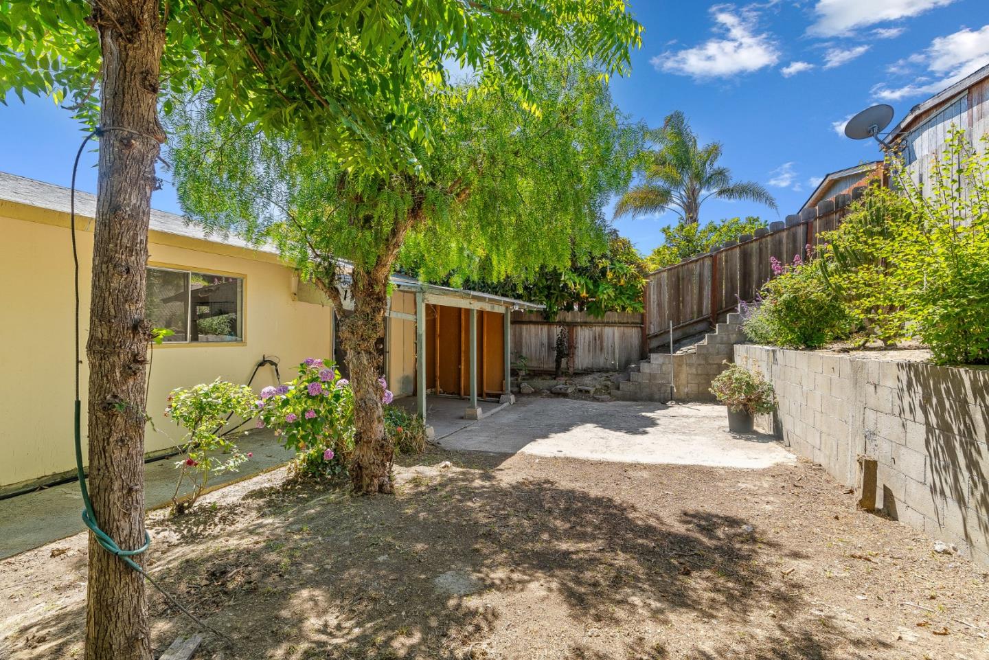 742 Pino Way Salinas, CA 93905 - Photo 19 of 30 a view of a backyard with wooden fence and a large tree