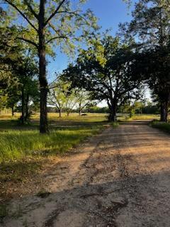 273 Box Road Dothan, AL 36301 - Photo 3 of 12