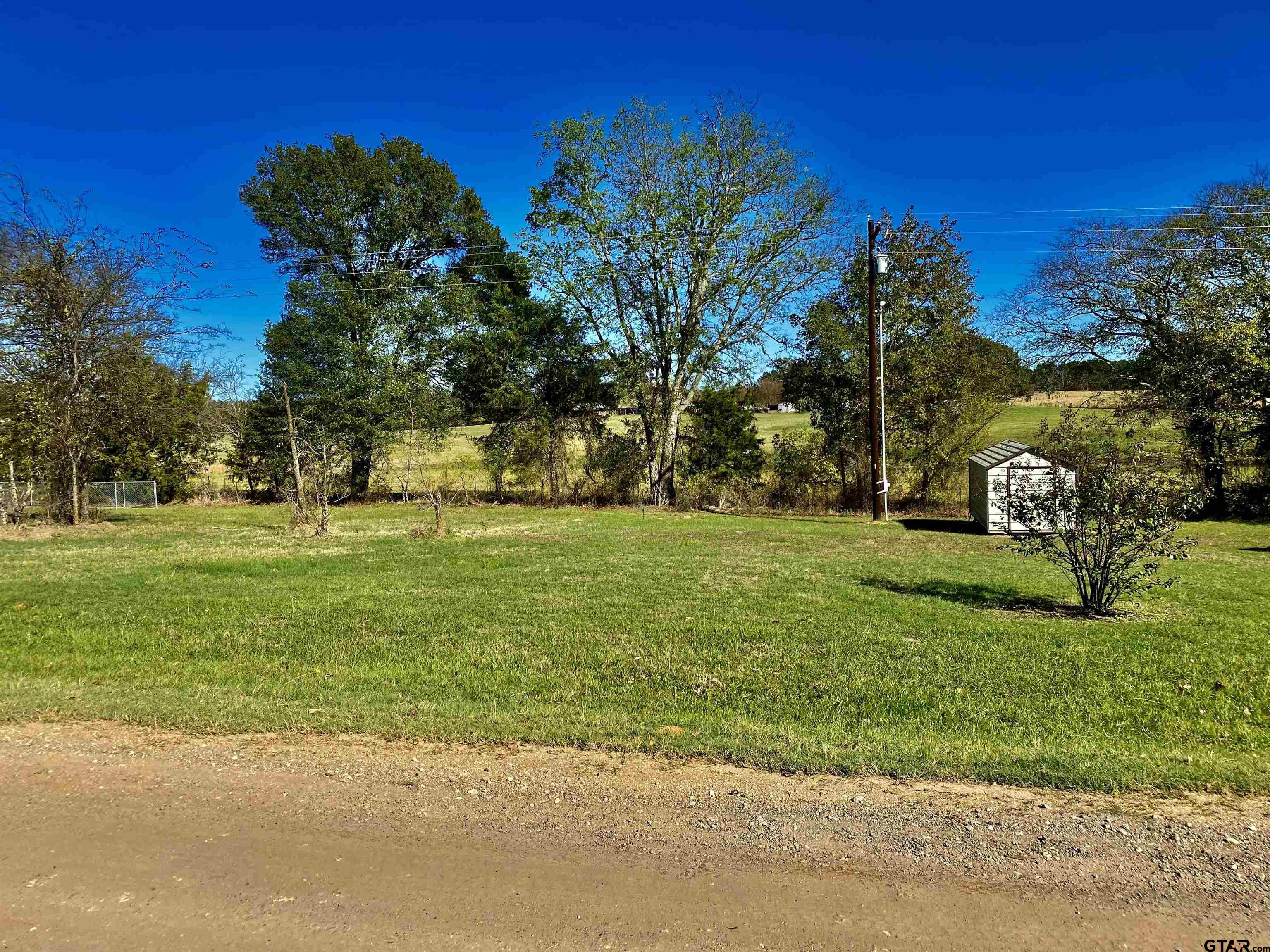 Lot 107-108 Concho Quitman, TX 75783 - Photo 3 of 14 a garden view with a fountain