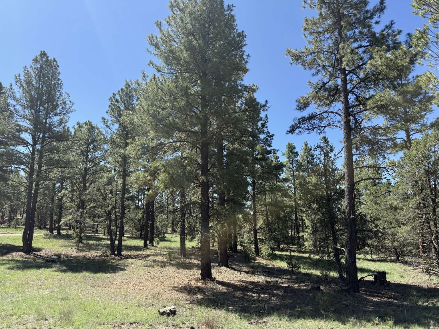 81 Felsic Road Grants, NM 87020 - Photo 22 of 33 Gallery Image 22