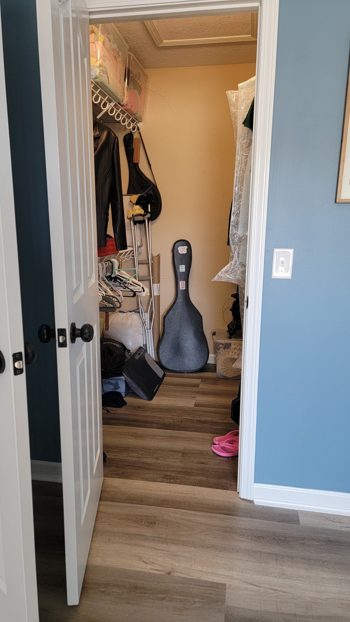 195 Rileys Bend Road Lynchburg, TN 37352 - Photo 23 of 32 a view of a walk in closet