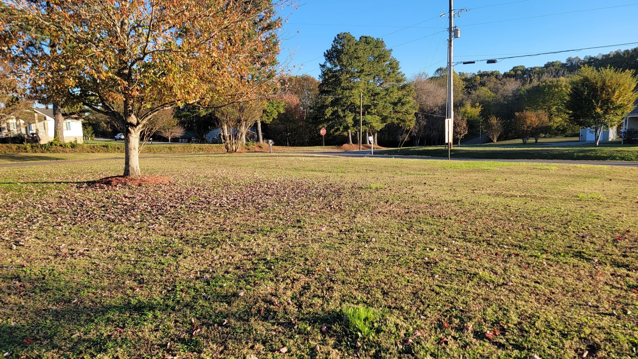 195 Rileys Bend Road Lynchburg, TN 37352 - Photo 4 of 32 a view of swimming pool