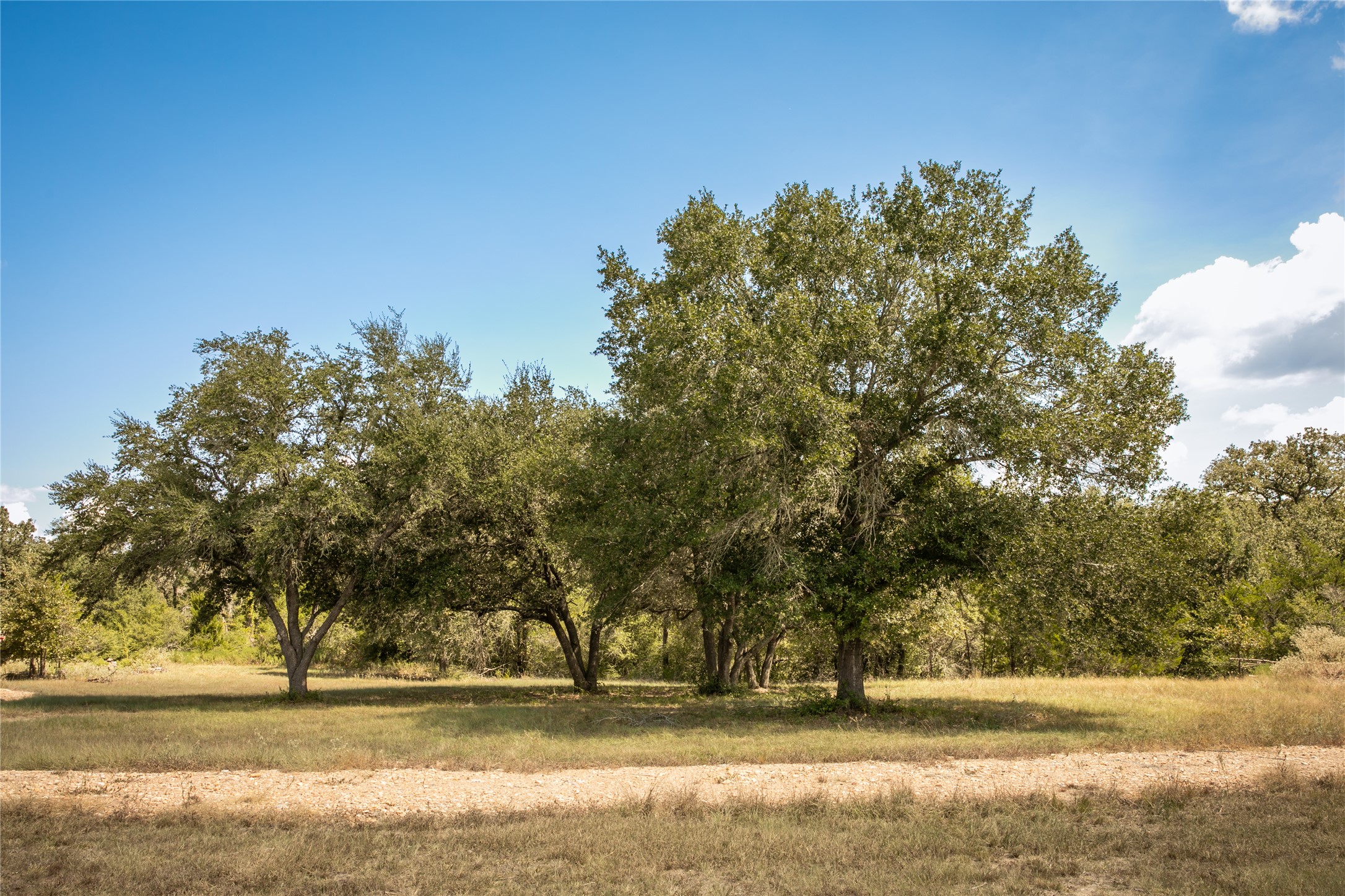 5848 FM 180 Road Ledbetter, TX 78946 - Photo 28 of 31 Gallery Image 28