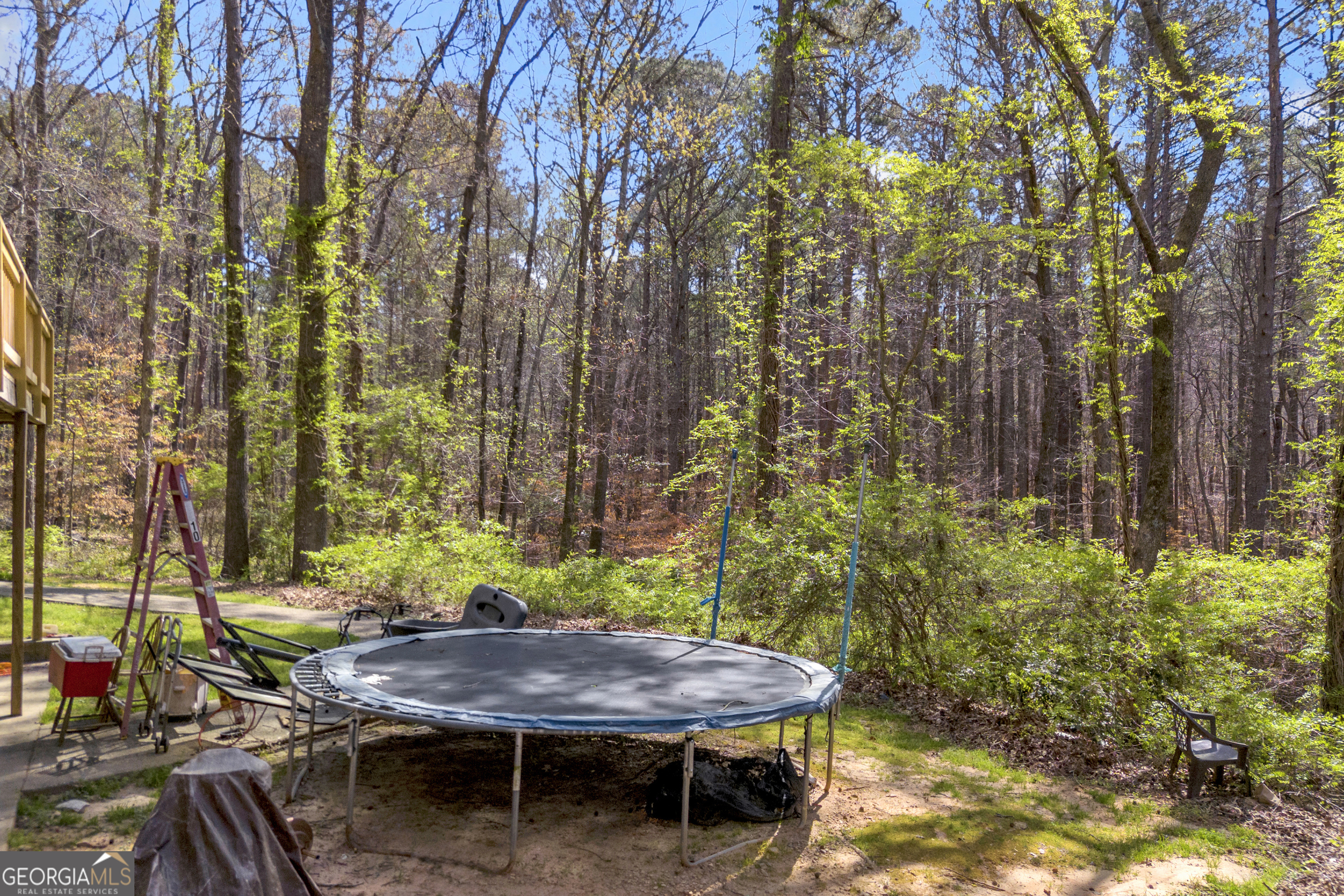 342 Brown Bridge Road Auburn, GA 30011 - Photo 40 of 41