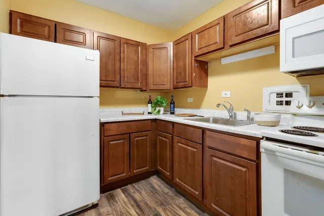 $55,000 | 7337 South South Shore Drive, Unit 326, Chicago, IL 60649