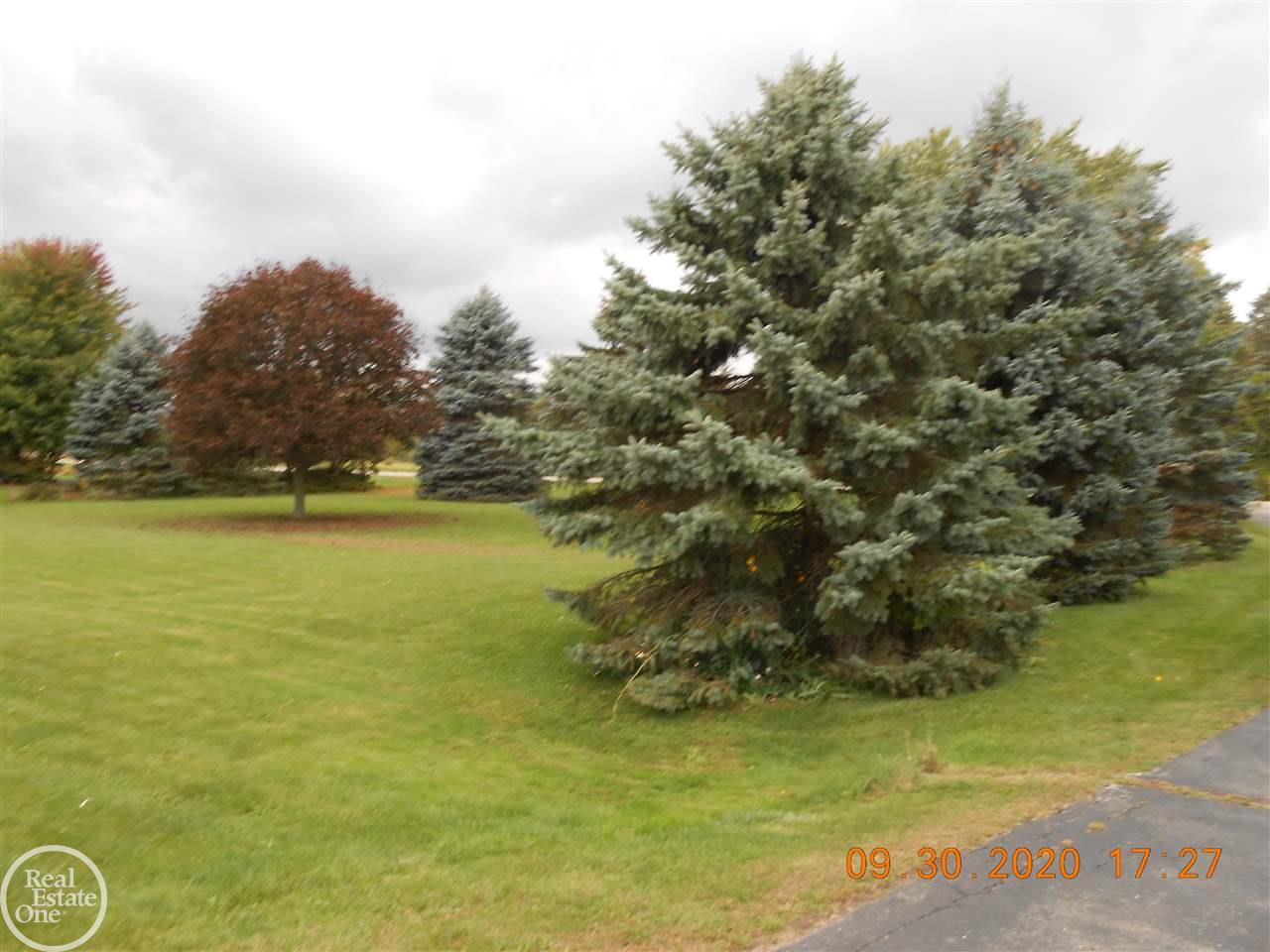 6946 Galbraith Line Road Lexington, MI 48450 - Photo 38 of 40 50025258-37.JPG