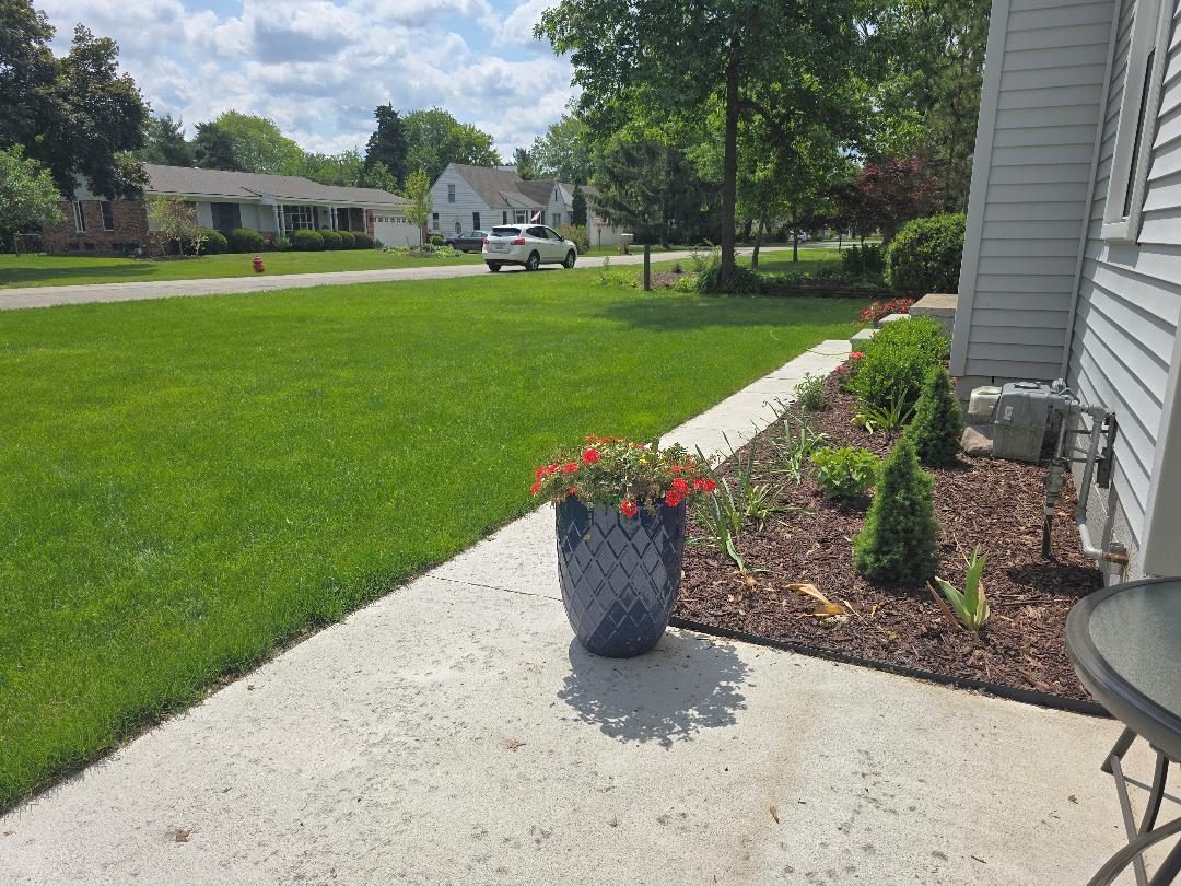 Front Yard