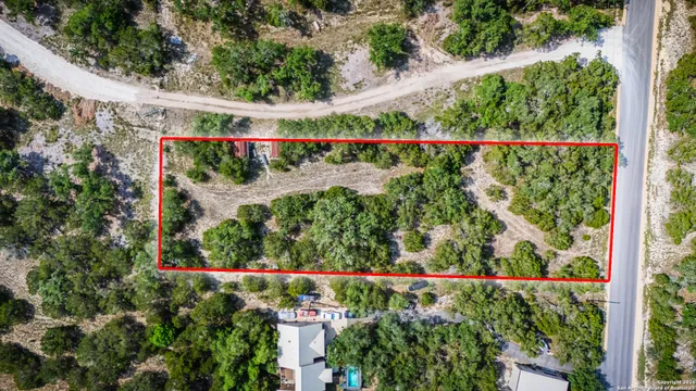a view of a yard with plants and trees
