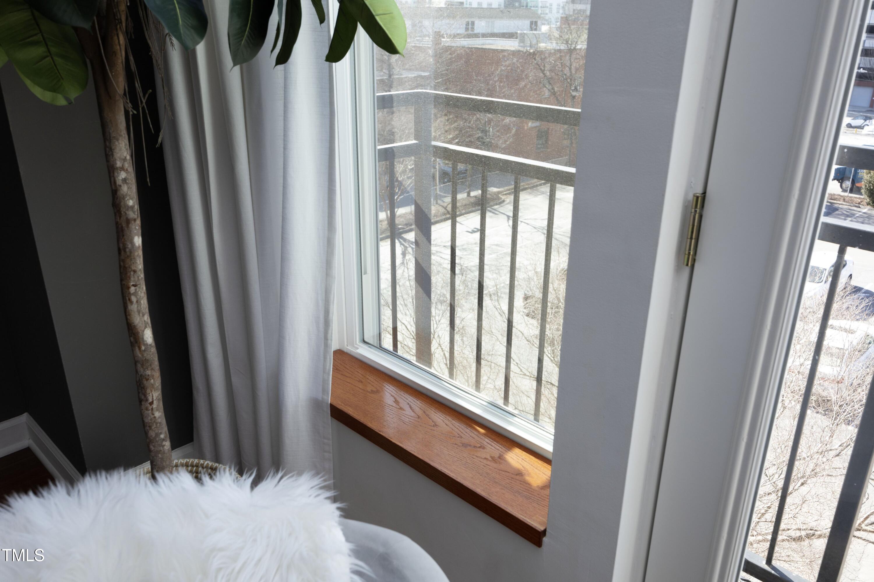200 South Dawson Street, Unit 209 Raleigh, NC 27601 - Photo 31 of 44 30WindowSill