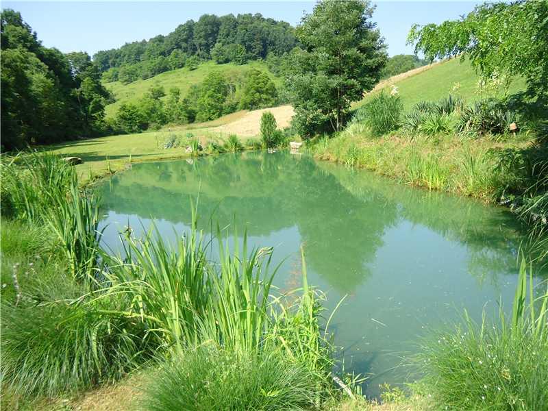271 Strope Road Aleppo, PA 15310 - Photo 18 of 25 Land/Lot. This is the beautiful pond on the property!