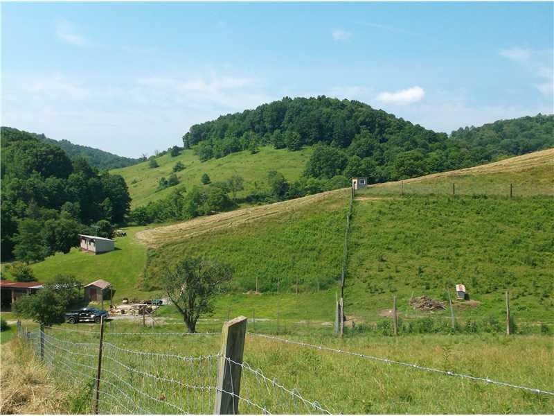 271 Strope Road Aleppo, PA 15310 - Photo 23 of 25 View. Part of the land is already fenced!
