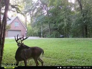 $470,000 | 52 Ogden Road, Natchez, MS 39120