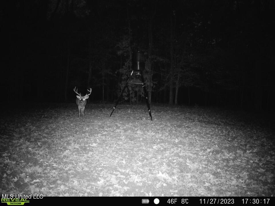 52 Ogden Road Natchez, MS 39120 - Photo 39 of 52 IMG_4431 Large