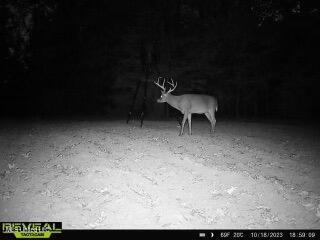 52 Ogden Road Natchez, MS 39120 - Photo 40 of 52 IMG_4433 Large