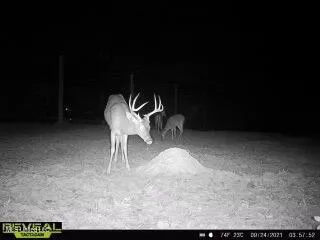 $470,000 | 52 Ogden Road, Natchez, MS 39120