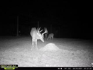 52 Ogden Road Natchez, MS 39120 - Photo 41 of 52 IMG_4434 Large