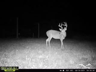 $470,000 | 52 Ogden Road, Natchez, MS 39120