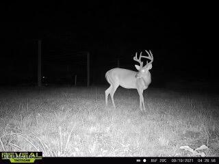 52 Ogden Road Natchez, MS 39120 - Photo 42 of 52 IMG_4435 Large