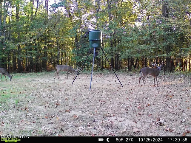 $470,000 | 52 Ogden Road, Natchez, MS 39120