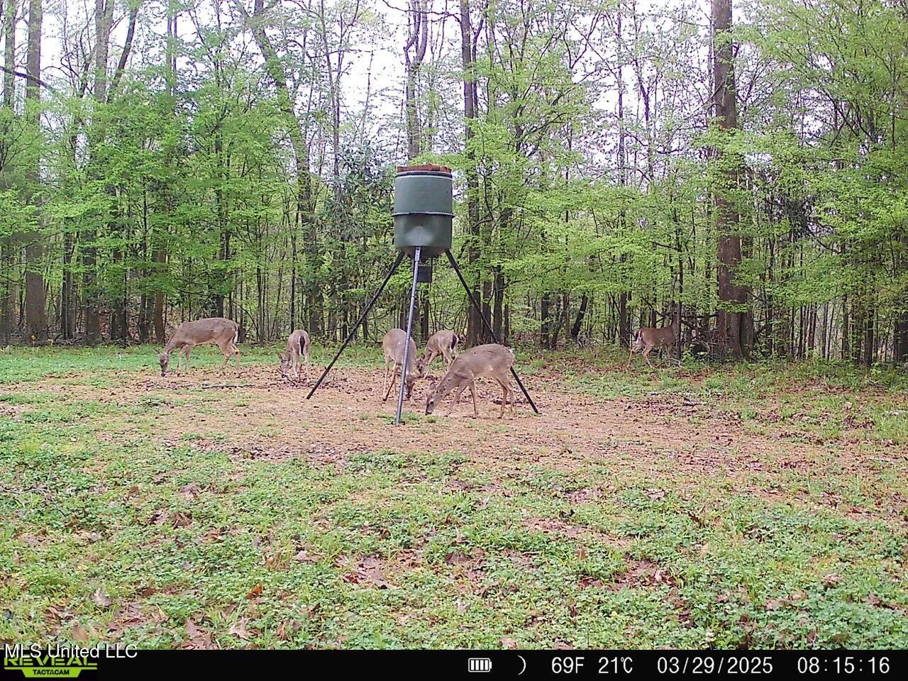 52 Ogden Road Natchez, MS 39120 - Photo 44 of 52 SYFW1101 Large