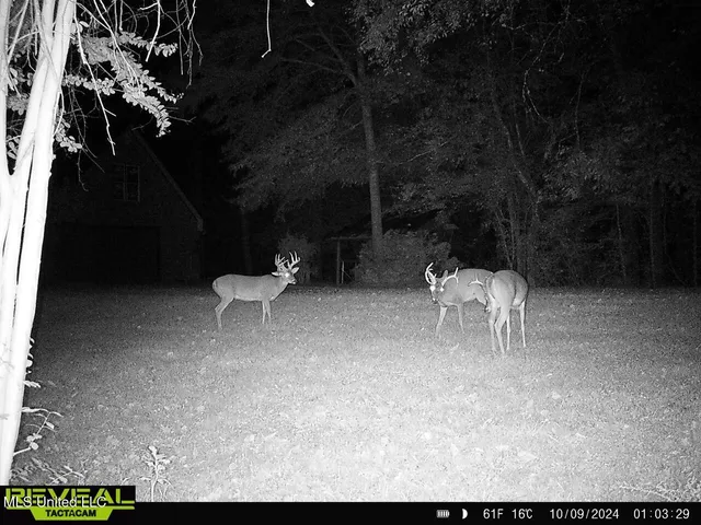 $470,000 | 52 Ogden Road, Natchez, MS 39120