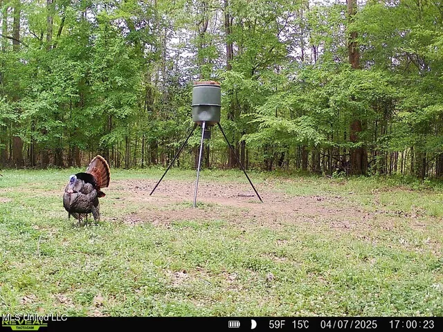 $470,000 | 52 Ogden Road, Natchez, MS 39120