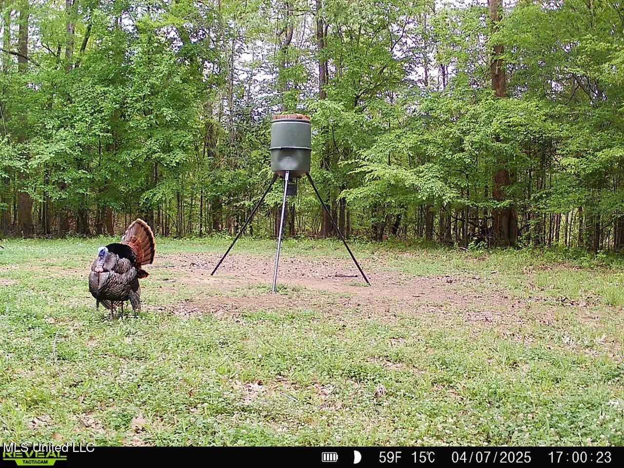 52 Ogden Road Natchez, MS 39120 - Photo 46 of 52 SYFW1353 Large