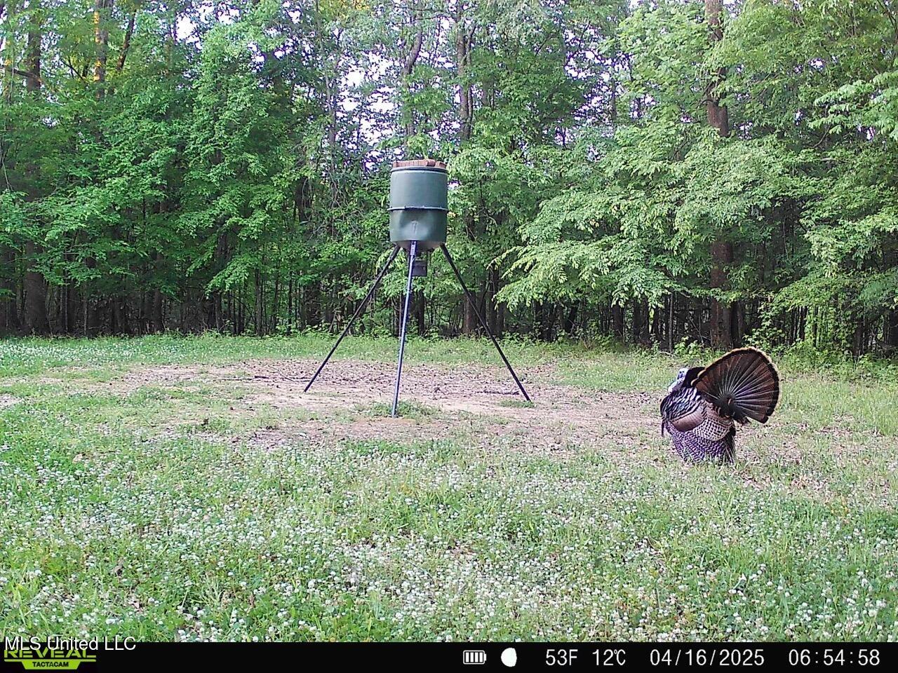 52 Ogden Road Natchez, MS 39120 - Photo 47 of 52 SYFW1504 Large